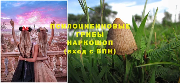гашик Наволоки