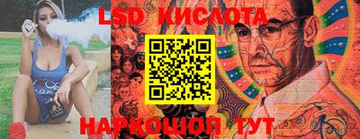 мяу мяу мука Аргун