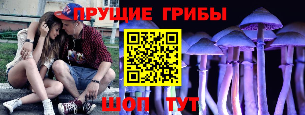 Псилоцибиновые грибы Magic Shrooms Белая Калитва